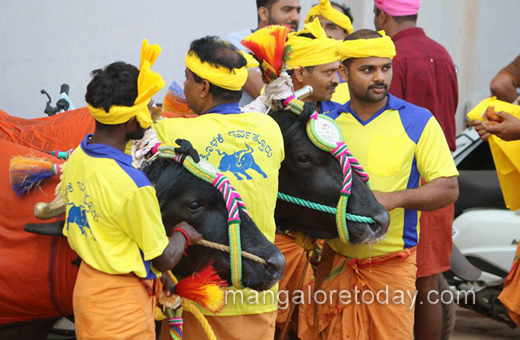 Kambla protest in moodbidri